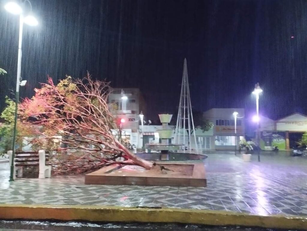 sb-11-1024x771 Chuva forte causa alagamentos, queda de árvore e de energia na cidade de Serra Branca